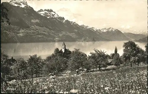 Brienz BE Partie am Brienzersee Kat. Brienz