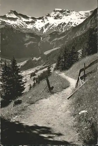 Adelboden BE Hoernliweg Wildstrubel Kat. Adelboden