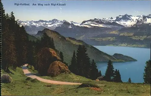 Rigi Kaltbad Am Weg nach Rigi Kaenzeli Kat. Rigi Kaltbad