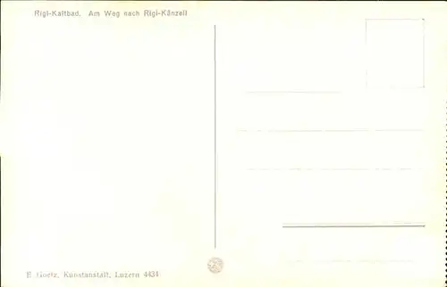 Rigi Kaltbad Am Weg nach Rigi Kaenzeli Kat. Rigi Kaltbad