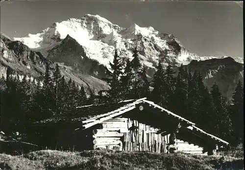 Wengen BE Fluehlenboden mit Jungfrau Kat. Wengen