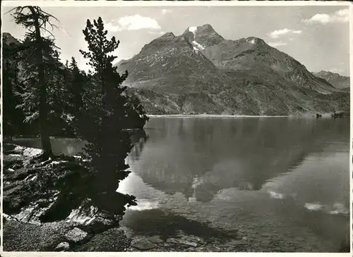 Silsersee Blick ueber den See auf Isola und Piz della Margna Kat. Sils Maria