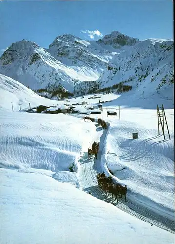 Sertig Doerfli Schlittenfahrt Mittagshorn Plattenhorn Hochducan