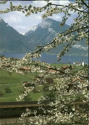 Spiez BE Partie am Thuner See Kat. Spiez