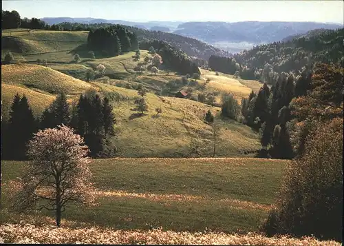 Zuerichberg Panorama Zuercher Oberland bei Sitzberg / Zuerichberg /Rg. Zuerich