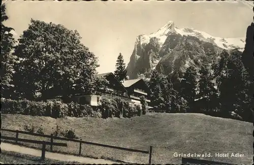 kk14169 Grindelwald Hotel Adler Kategorie. Grindelwald Alte Ansichtskarten