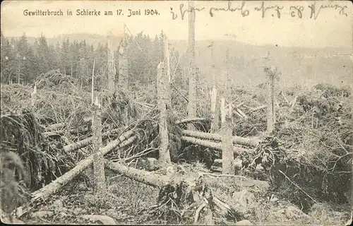 Schierke Harz Gewitterbruch von 1904 / Schierke Brocken /Harz LKR