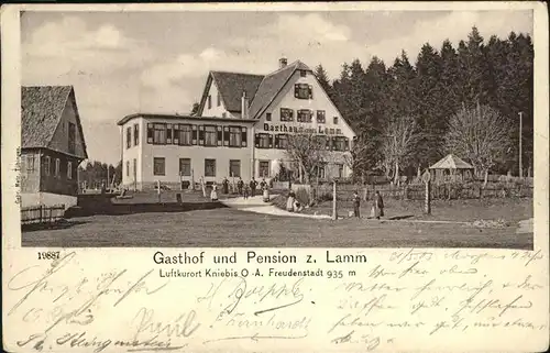 Kniebis Freudenstadt Gasthof Pension Lamm / Freudenstadt /Freudenstadt LKR