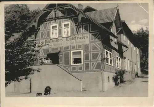 Eisenach Thueringen Pensionshaus Waldfrieden Kat. Eisenach