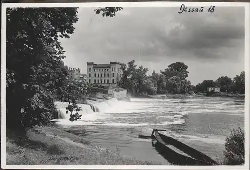 Dessau-Rosslau Motiv am Gestaenge / Dessau-Rosslau /Anhalt-Bitterfeld LKR