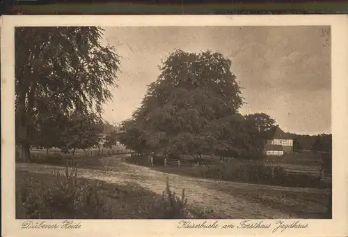 Duebener Heide Kaiserbuche am Forsthaus Jagdhaus Kat. Dueben