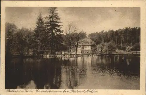 Duebener Heide Eisenhammer bei Dueben Mulde Kat. Dueben