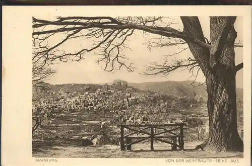 Marburg Lahn Blick von der Weintrautseiche Kat. Marburg