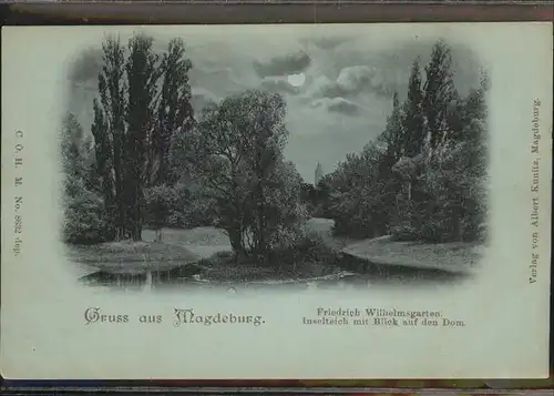 Magdeburg Sachsen Anhalt Friedrich Wilhelmgarten bei Nacht Mond Kat. Magdeburg