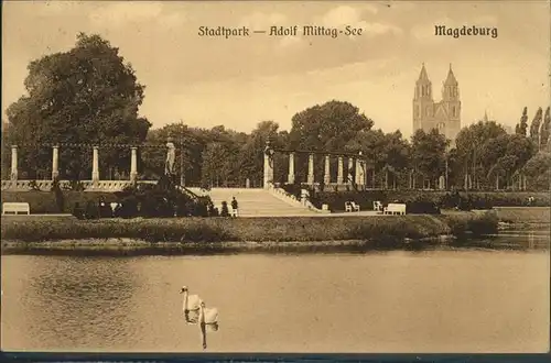 Magdeburg Sachsen Anhalt Stadtpark Adolf Mittag See Schwaene Kat. Magdeburg