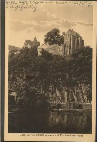 Leisnig Schloss Mildenstein Blick von der Mulde Fischendorf Kat. Leisnig