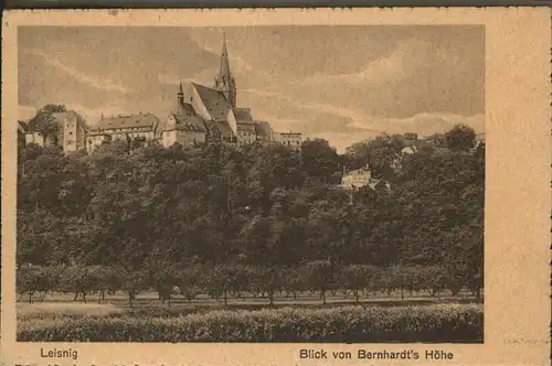 Leisnig Panorama Blick von Bernhardts Hoehe Kat. Leisnig