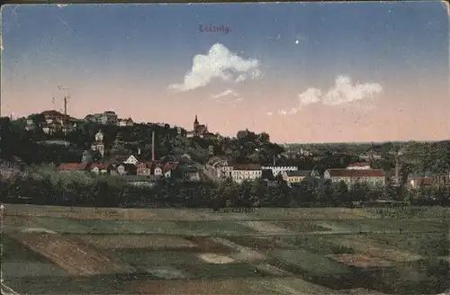 Leisnig Panorama Schloss Mildenstein Kat. Leisnig