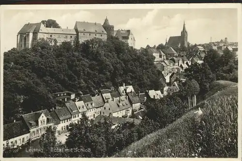 Leisnig Teilansicht mit Schloss Mildenstein Kirche Kat. Leisnig