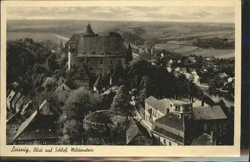 Leisnig Panorama Schloss Mildenstein Feldpost Kat. Leisnig