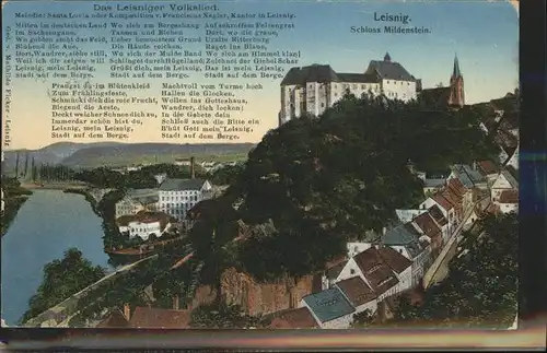 Leisnig Panorama mit Schloss Mildenstein Volkslied Kat. Leisnig