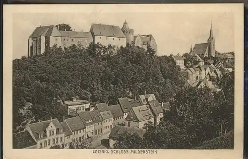 Leisnig Schloss Mildenstein Kat. Leisnig