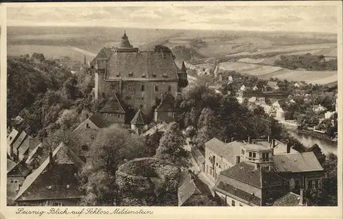 Leisnig Schloss Mildenstein Kat. Leisnig
