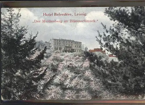 Leisnig Hotel Belvedere der Muldenberg Kat. Leisnig