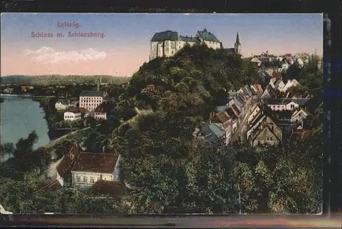 Leisnig Schloss mit Schlossberg und Umgebung Kat. Leisnig