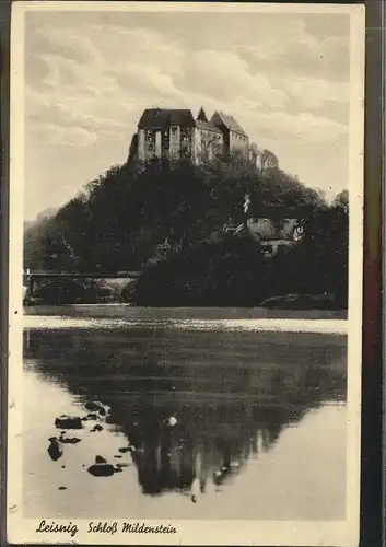 Leisnig Schloss Mildenstein Kat. Leisnig