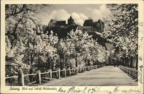 Leisnig Blick auf Schloss Mildenstein Kat. Leisnig