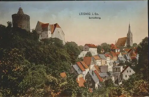 Leisnig Schlossberg mit Schloss und Kirche Kat. Leisnig