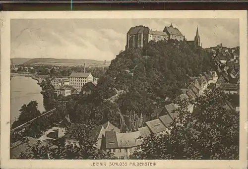 Leisnig Schloss mit Umgebung Kat. Leisnig