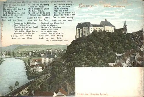 Leisnig Panorama mit Schloss Mildenstein Gedicht Kat. Leisnig