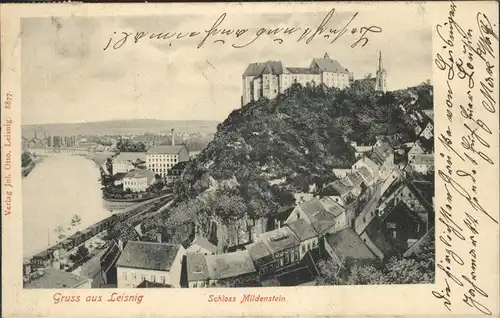 Leisnig Panorama mit Schloss Mildenstein Kat. Leisnig