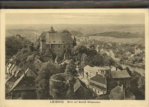 Leisnig Schloss Mildenberg und Umgebung Kat. Leisnig