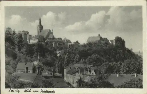 Leisnig Blick vom Stadtpark Kirche Kat. Leisnig