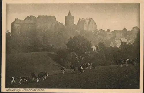 Leisnig Schloss im Nebel Kat. Leisnig