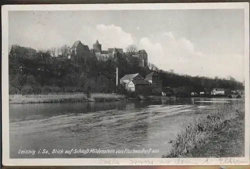 Leisnig Blick von Fischendorf auf Schloss Mildenstein Kat. Leisnig