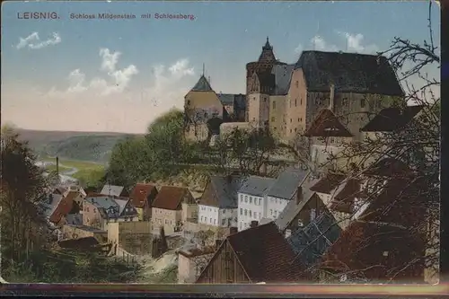 Leisnig Schloss Mildensten mit Schlossberg Kat. Leisnig