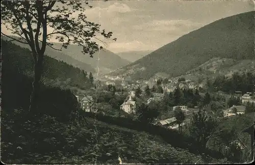 Wildbad Schwarzwald Panorama Kat. Bad Wildbad