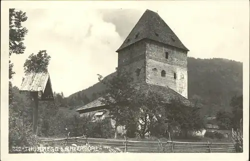 Vogau Steiermark Thurnegg Turm