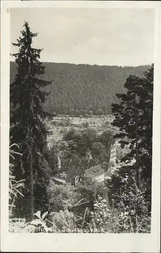 kk14287 Hirsau Blick zum Schloss Kategorie. Calw Alte Ansichtskarten