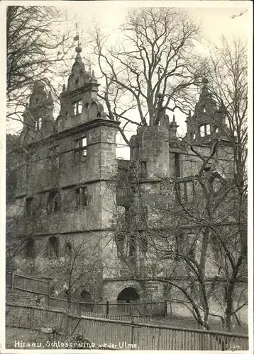 kk14370 Hirsau Schlosspartie mit Ulme Kategorie. Calw Alte Ansichtskarten