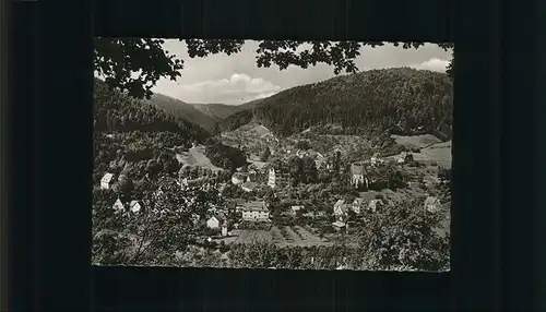 Hirsau Panorama Kat. Calw