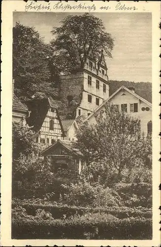 kk14516 Hirsau Schlossruine mit Ulme Kategorie. Calw Alte Ansichtskarten