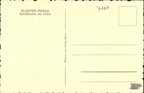 kk14516 Hirsau Schlossruine mit Ulme Kategorie. Calw Alte Ansichtskarten
