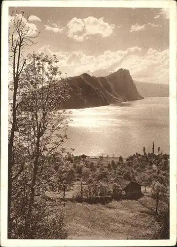 Vierwaldstaettersee SZ Panorama Kat. Brunnen