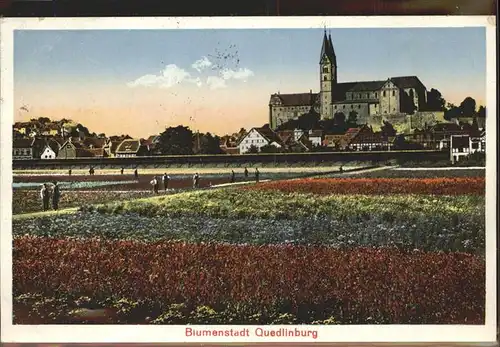 Quedlinburg Harz Sachsen Anhalt Schloss Kat. Quedlinburg