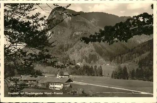 Aschau Chiemgau Hainbach Kat. Aschau i.Chiemgau